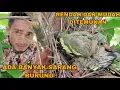 Download Lagu KETIKA MANUSIA DAN BURUNG BISA HIDUP BERDAMPINGAN