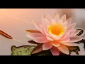 Meditation, Yoga Music, Relaxation Music, Chakra, Relaxing Music for Stress Relief, Relax, ☯3320