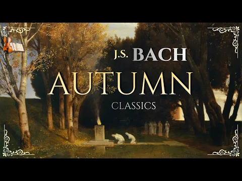 J.S. Bach - Autumn Cello Classics | Peaceful Music for Relaxation & Inner Peace (1 Hour)