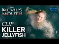 BRUTAL Jellyfish Attack The Devil s Mouth Clip Prime