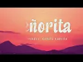 Shawn Mendes, Camila Cabello - Señorita (Lyrics) Letra