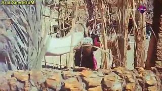 انا اللي حظي قليل حالات واتس 