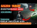 Lagu Jiwa Terpilih💫SEGERA TANAM !! 8 Tanaman Penolak S4NT3T😱Sekaligus Pembawa Keberuntungan \u0026 Rezeki!🤑🚀