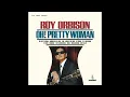 Roy Orbison - Oh, Pretty Woman (Audio)
