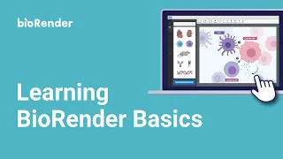 BioRender 101 Webinar - 2023