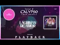 Isso é Calypso - Lágrimas De Amor (Ao Vivo Vitória) Backing Vocal PLAYBACK TOM MASCULINO
