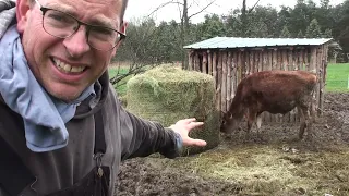 Hay Ring Hack - How to save money and keep cows from wasting hay for under 50