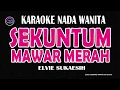 Download Lagu SEKUNTUM MAWAR MERAH - Karaoke Nada Wanita (ELVIE SUKAESIH )
