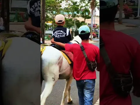 Naik delman istimewa ~ lagu populer Indonesia #kuda #delman #laguanakanak #shorts