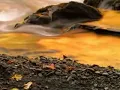 劉文正 - 秋蟬.wmv
