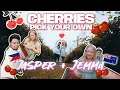 Cherry-Picking Adventure in Swananoa New Zealand
