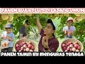 Download Lagu PANEN BUAH PLUM DILADANG UMUM AMERIKA BISA CAMPUR DENGAN BUAH YANG LAIN SEPERTI PEACH DAN NECTARINE🍑