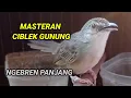 Download Lagu MATERAN ciblek gunung NGEBREN PANJANG FULL isian | CIBLEK GUNUNG GACOR
