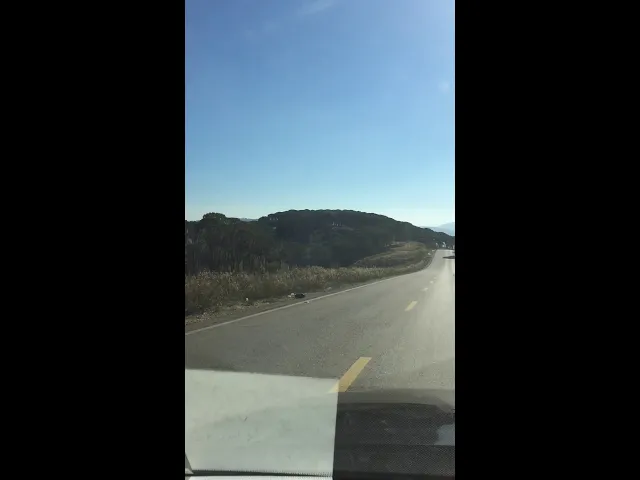 ⁣محميات الصنوبر في بلاد جزين بلاد أجداد الدكتور الشيخ إبراهيم العاملي بصوته وصوت والده الحافظ الأديب