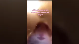 أهم شي نغمة سناب 