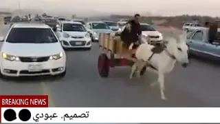 ركبني سوناتا يا امير خلي عدادك ميه ١٠٠وعا اطير اشترك الان 