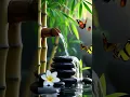 Download Lagu Relaxing Sleep Music + Insomnia, Stress Relief, Calming Music #relaxing #sleepmusic #calmingsounds
