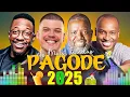 Download Lagu 20 Di Propósito, Péricles, Ferrugem, Menos É Mais, Dilsinho, Thiaguinho ♡ Só As Melhores Pagodes