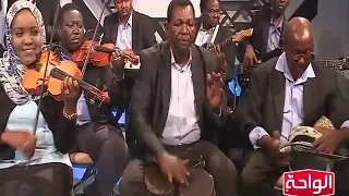 بتقولي لا صلاح الأمين 