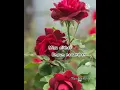 Download Lagu 💕Kelamal Kaiyilae💕Azhagiye Tamil Magan💕Hariharan💕Ar Rahman💕Video Lyrics song 💕Tamil Status Songs💕