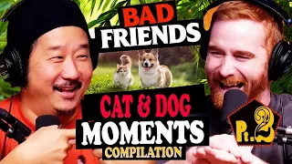 BEST of Bobby Lee Cats, Dogs & Pure Chaos FULL Compilations