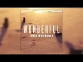 Wonderful - Chris Malinchak