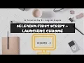 Launching Chrome Browser - Selenium WebDriver
