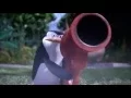 Skipper shoots Darla Dimple