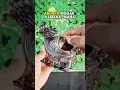Download Lagu Asbak Logam Vintage Gaya Retro model naga#asbak #asbaknaga #asbaklogam #asbakestetik #asbakkeren