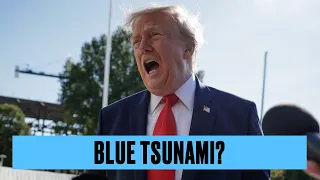 How Dems Can Use Trump's Toxicity to Their Advantage w/ Jessica Mackler