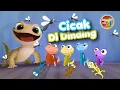 Download Lagu Cicak Cicak di Dinding - Lagu Anak Indonesia Populer