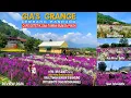 Download Lagu GIA'S  GRANGE...!! LEMBANG BANDUNG-LAGI VIRAL CAFE ESTETIK \u0026 TAMAN BUNGA PIKOK-SPOT FOTO-REVIEW 2024
