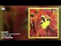 Ini Kamoze - Here Comes The Hotstepper (Heartical Mix) (2025 Remaster)
