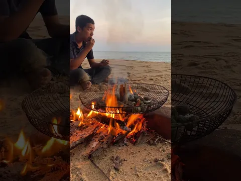 Sea Snail Catch and Cook #Shorts