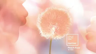 PANTONE 13-1023 Peach Fuzz the Pantone Color of the Year 2024