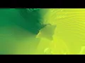 Patrick Holland - Soft Recycle (Official Video)