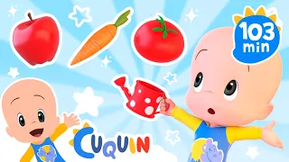 Plantando frutas y verduras con Cuquín y más vídeos 🍎🥦 Caricaturas y dibujos animados para bebés