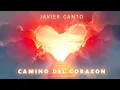 Download Lagu Musica para Atraer el Amor y Aumentar Energia Positiva, #frecuenciadelafelicidad  #frecuenciadelamor