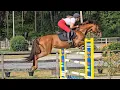 20250709, training Kattevenia, Oblisina