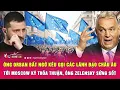 Download Lagu Ông Orban bất ngờ kêu gọi các lãnh đạo châu Âu tới Moscow ký thỏa thuận, ông Zelensky sửng sốt