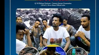 Ibroo Ibsaa Godaannisa Godaansaa New Ethiopia Oromo Music Official Video 2022 