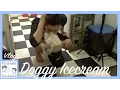 Gay Husband and Husband Vlog DOGGY ICE-CREAM