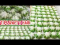 Download Lagu resep kue putu ayu terigu 1/2 kilo yang tidak mudah basi