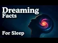 The Most Relaxing Facts About Dreaming to Fall Asleep To