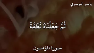 ياسر الدوسري سورة المؤمنون و ل ق د  خ ل ق ن ا ال إ ن س ان  م ن  س ل ال ة  م ن  ط ين  دندنها