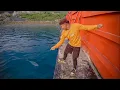 Lagu 5 hari berburu ular cobra,arwana monster \u0026 mancing ikan dikota jkt-palu!!! #KOOKIKO 