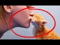 Have You Ever Kissed Your Cat Understand How Cats Perceive Kisses
