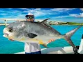 3 Days Hunting Florida s 3 Most Difficult Game-Fish