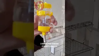 Does This Hamster Waterer Work For Canaries Canariljwc Canaril 