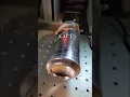 FULL Bee Movie Script on THIS CAN Must See